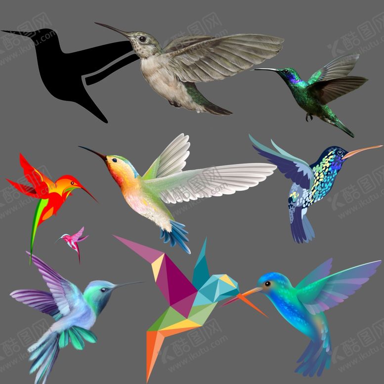 编号：73292710131444055567【酷图网】源文件下载-蜂鸟png免扣图片