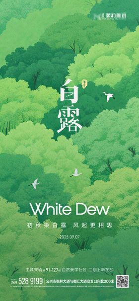 2025白露二十四节气节日海报
