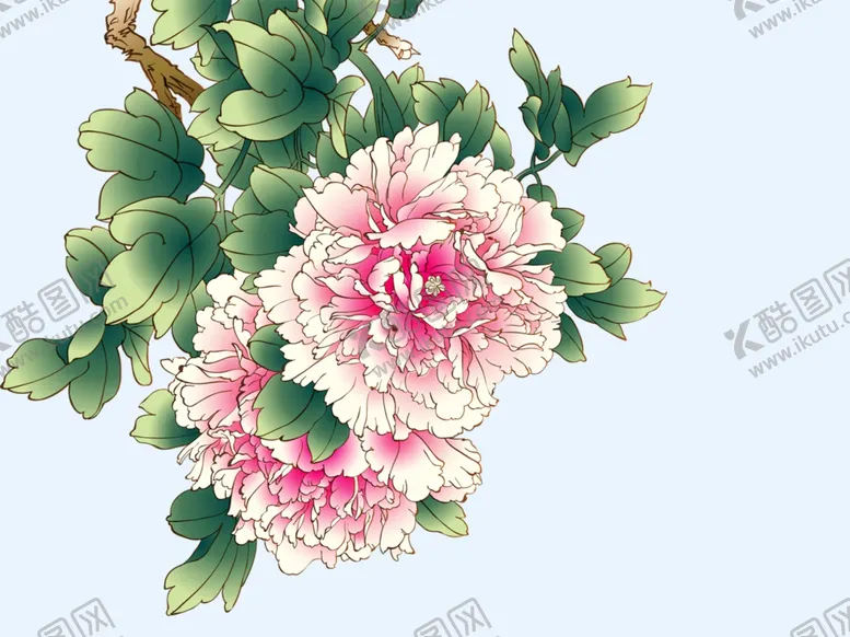 编号：44062906271745324939【酷图网】源文件下载-牡丹花