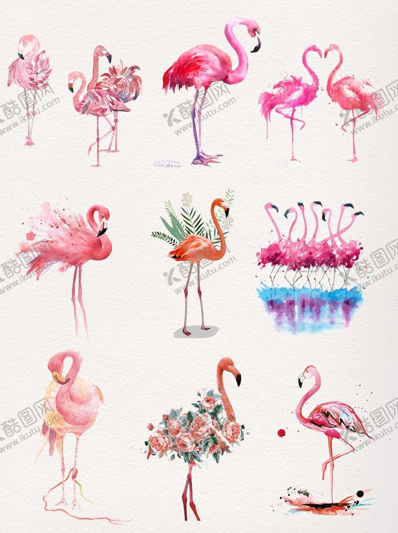 编号：42968209171708417548【酷图网】源文件下载-火烈鸟大牌花鸟丹顶鹤