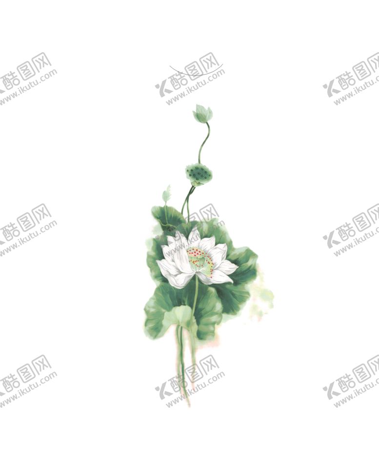 编号：40593204251144509656【酷图网】源文件下载-荷花