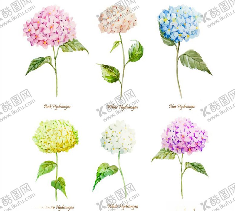 编号：79620809210519103839【酷图网】源文件下载-手绘花朵