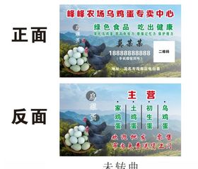 鸡蛋名片