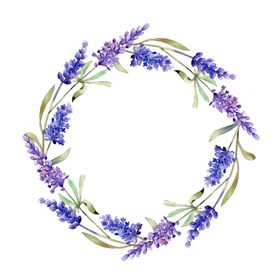 薰衣草边框