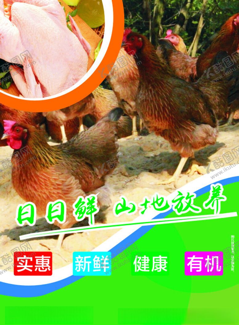 编号：32019601170026001899【酷图网】源文件下载-放养鸡