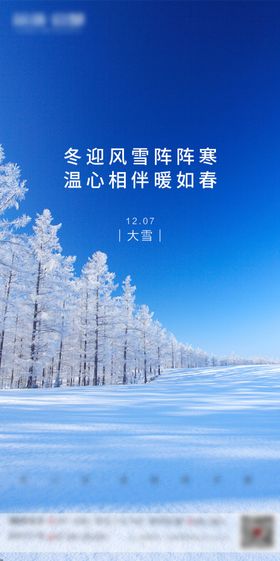 大雪节气移动端海报