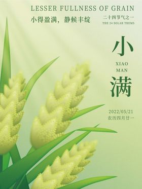 二十四节气小满节气美食借势海报