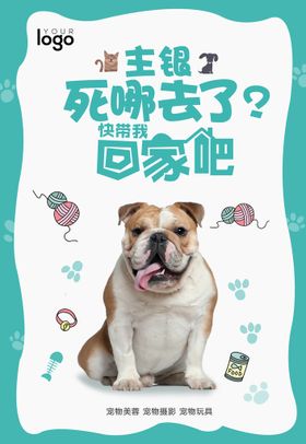 彩页 宣传单 宠物店 柯基犬