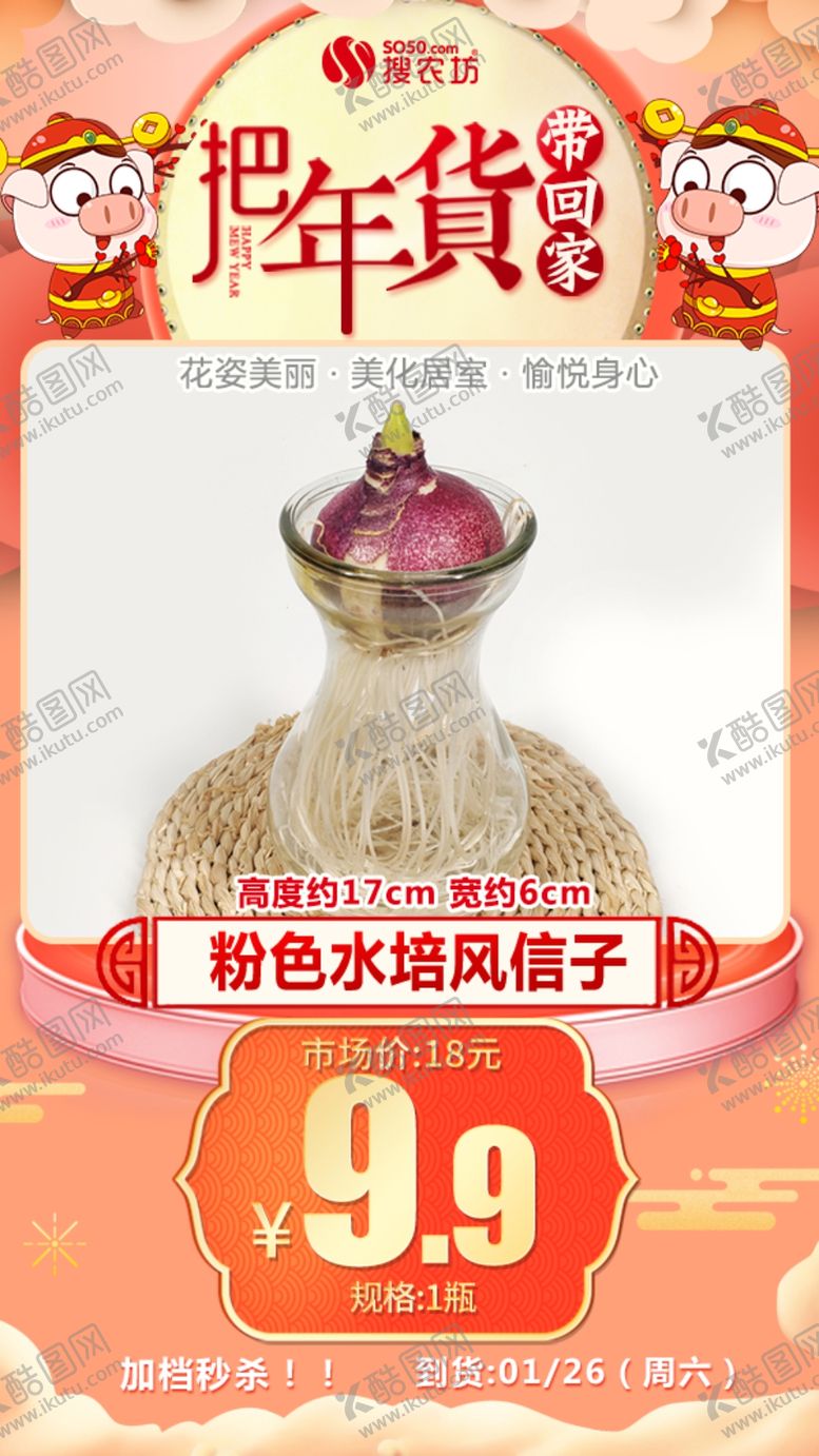 编号：49081005111005267750【酷图网】源文件下载-年货秒杀粉色水培风信子1瓶
