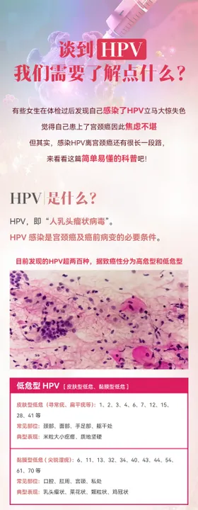 HPV病毒长图海报