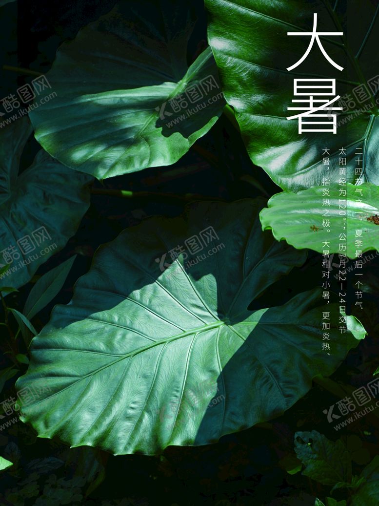 编号：57329610020557016093【酷图网】源文件下载-大暑
