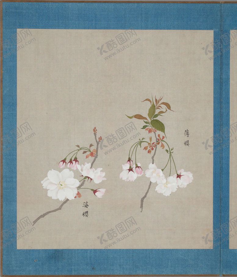 编号：87795104152221369336【酷图网】源文件下载-樱花