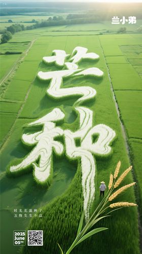 芒种热点海报