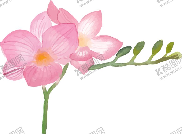 编号：75477710042258347918【酷图网】源文件下载-鲜花素材