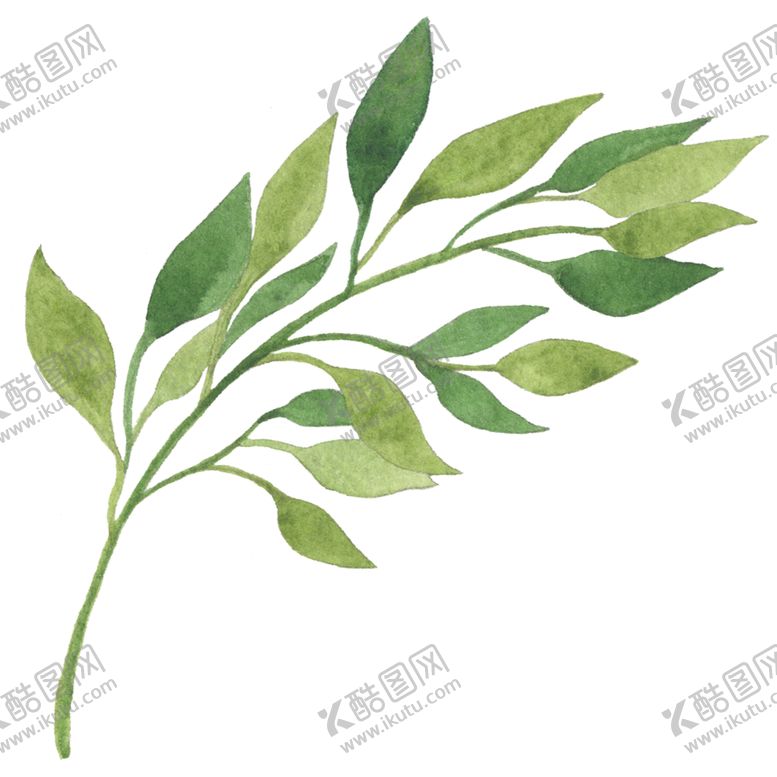 编号：66085002061613479900【酷图网】源文件下载-水彩树叶树枝