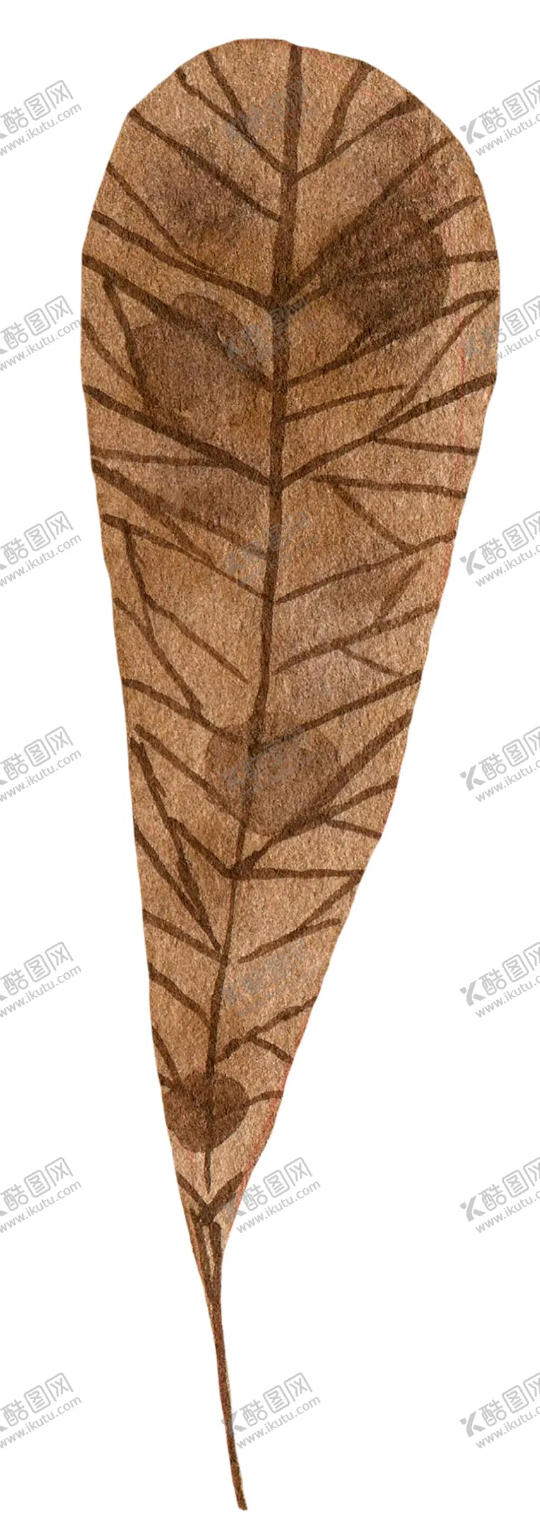 编号：77685610190505129711【酷图网】源文件下载-手绘植物