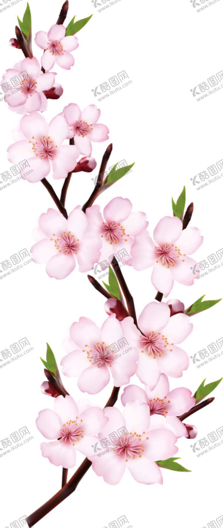 编号：94861310100445088231【酷图网】源文件下载-桃花素材