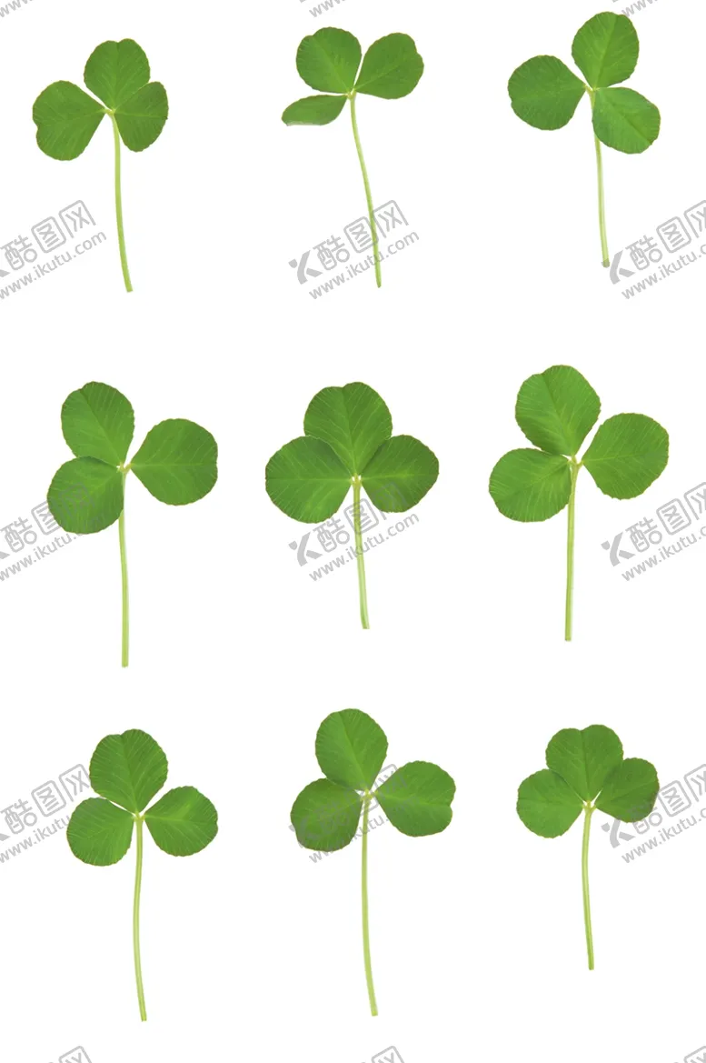 编号：18967709281226014388【酷图网】源文件下载-四叶草素材
