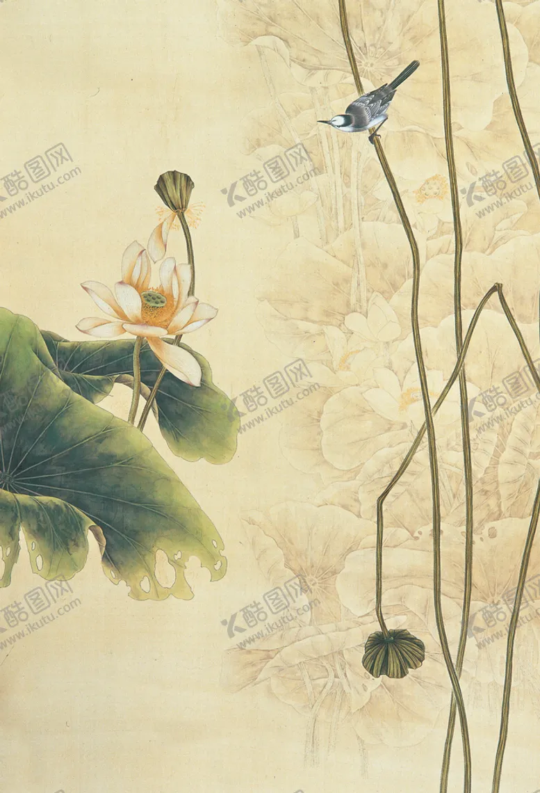编号：57601809221405432804【酷图网】源文件下载-古典 工笔 荷花 背景图片