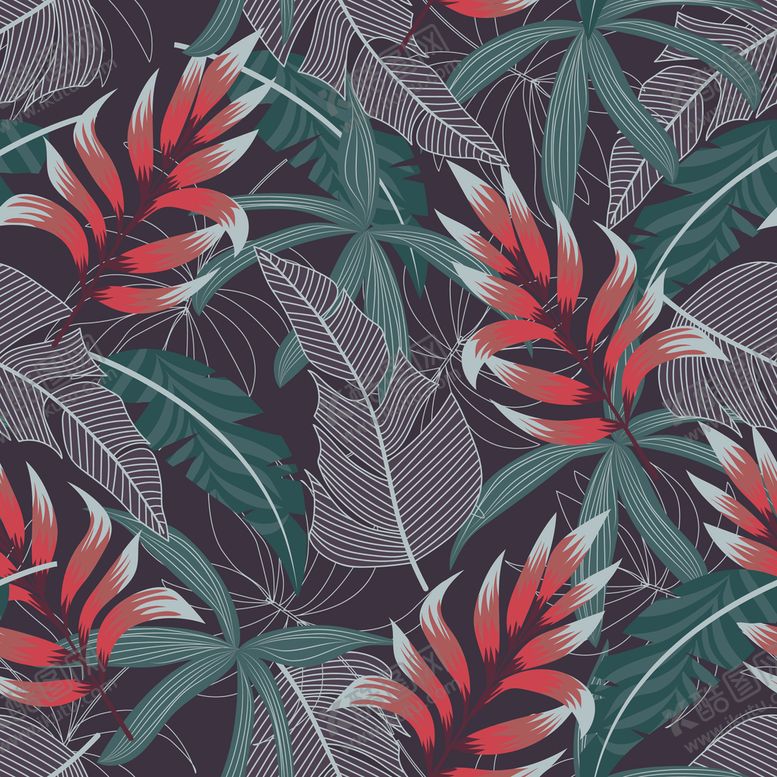 编号：77500209122110264509【酷图网】源文件下载-热带树叶