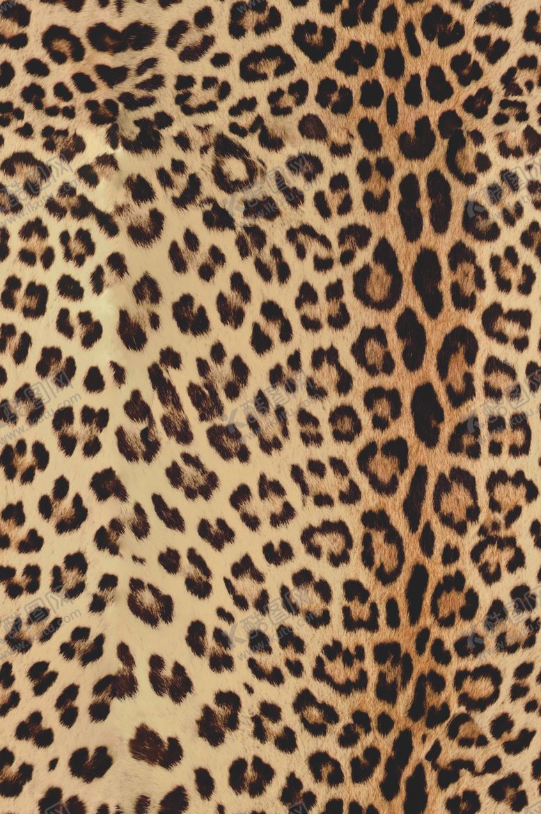 编号：49305109200549538844【酷图网】源文件下载-豹纹图案布料纹理