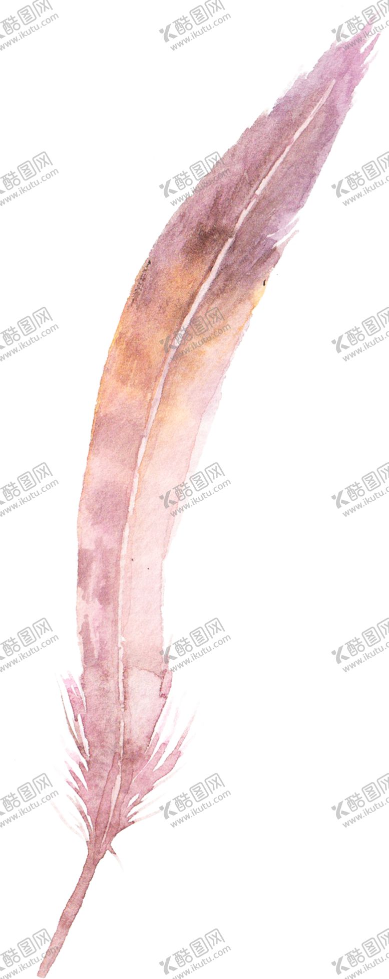 编号：40699909181745257211【酷图网】源文件下载-花卉