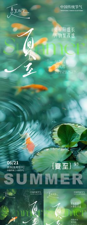 夏至荷叶金鱼夏天池塘