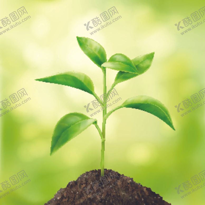 编号：54530704271337438161【酷图网】源文件下载-盆栽植物摆件