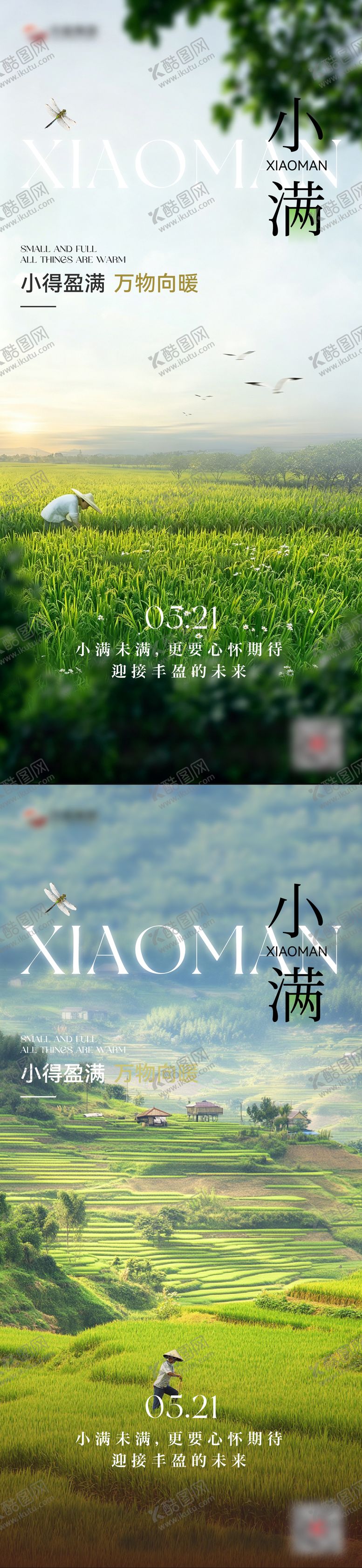 编号：10524905222323444318【酷图网】源文件下载-小满节气海报