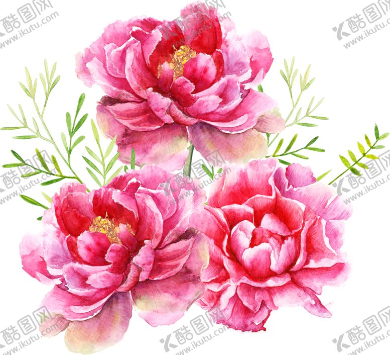 编号：76861406142115377564【酷图网】源文件下载-手绘花