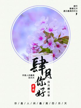四月你好樱花园粉色杂志封皮约惠樱花