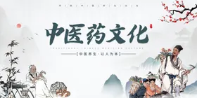 中医药文化