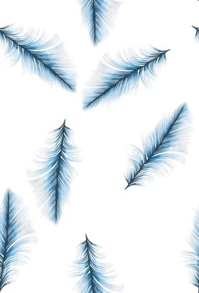 羽毛扇子高清挂画