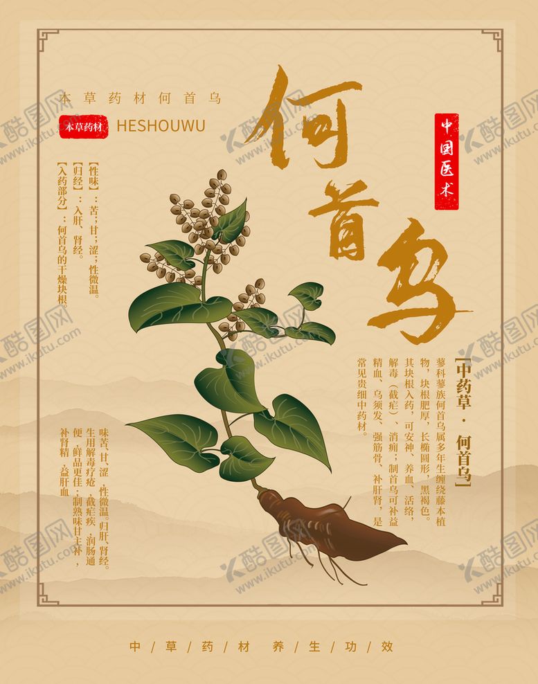 编号：50719609201312016195【酷图网】源文件下载-何首乌