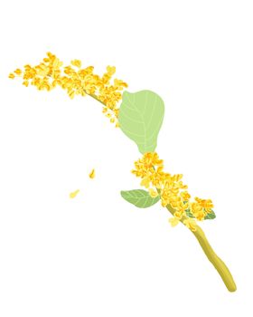 手绘桂花png免抠素材糕卡通鸟