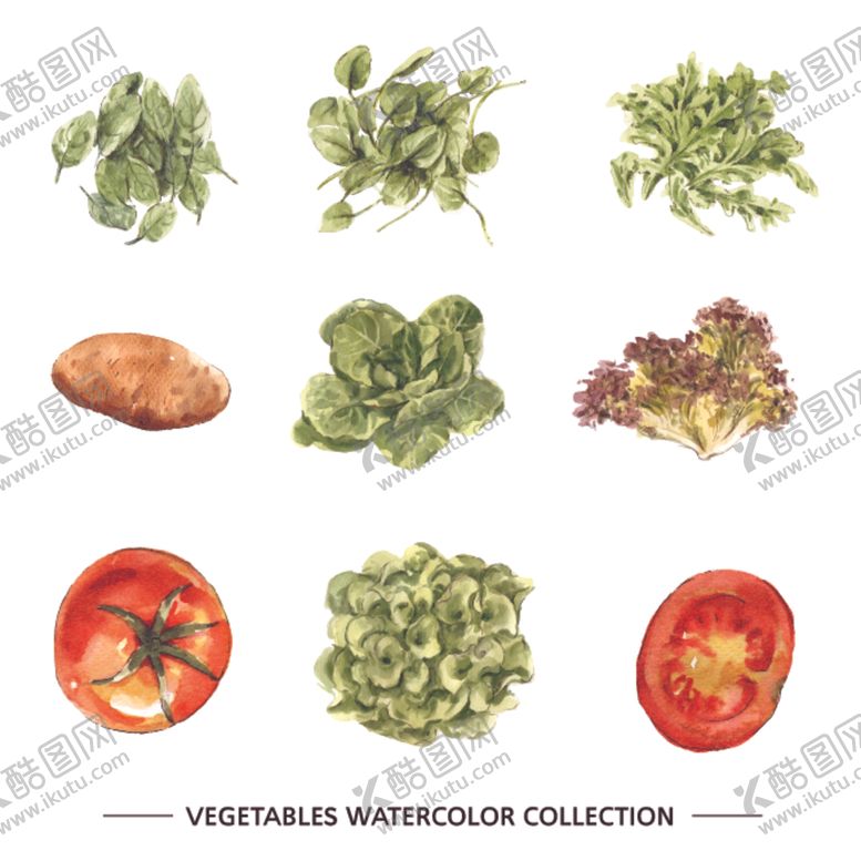 编号：57773509091204414638【酷图网】源文件下载-蔬菜