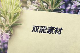 logo产品印刷效果图样机