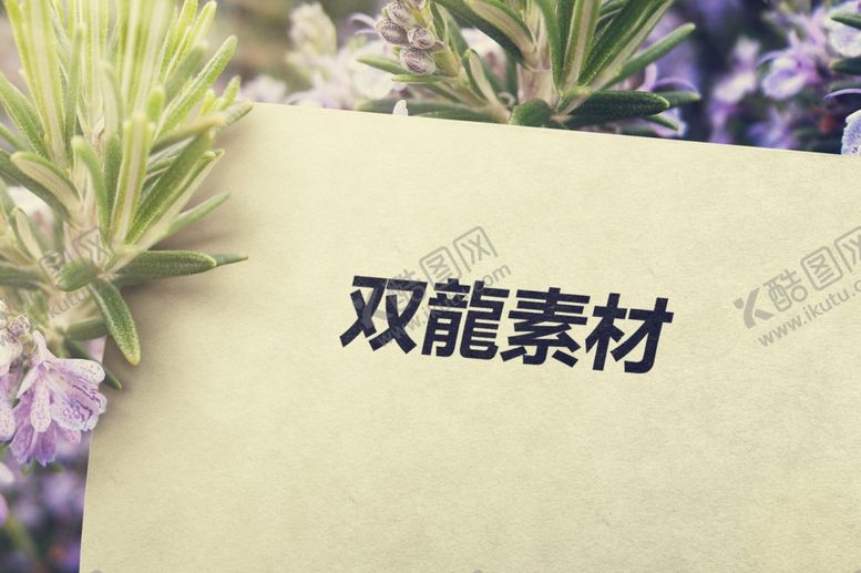 编号：50161010311234362182【酷图网】源文件下载-logo产品印刷效果图样机