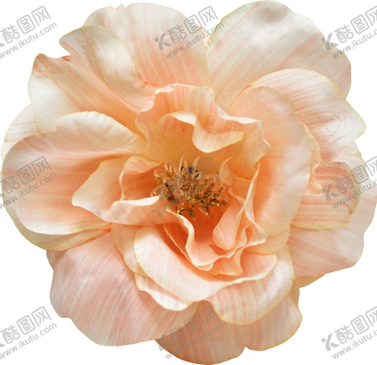 编号：55431010060608388496【酷图网】源文件下载-复古花朵植物图案