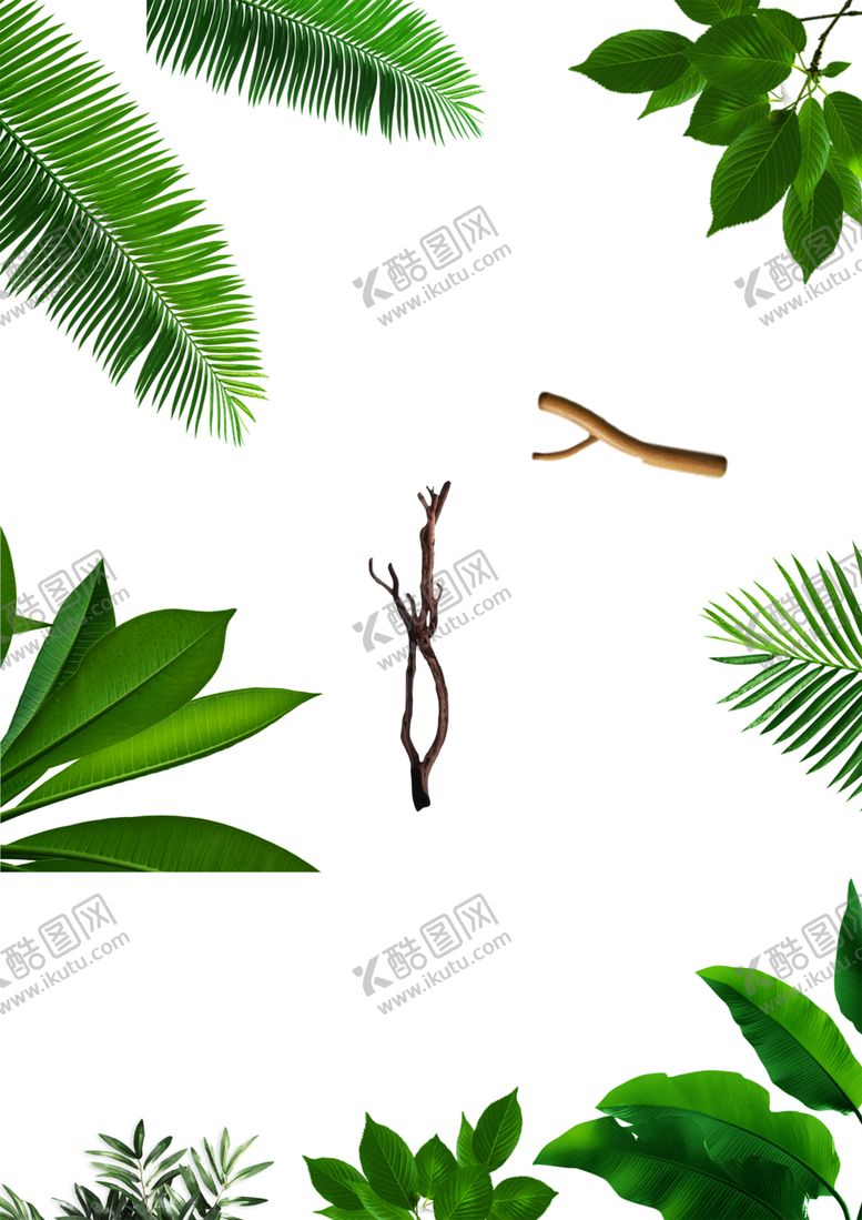 编号：23056910250448105455【酷图网】源文件下载-绿色植物