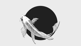 鲤鱼插画素描背景