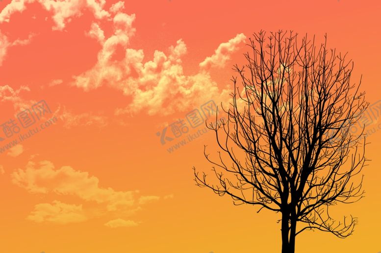 编号：10616709290647174397【酷图网】源文件下载-黄昏美景插画风景