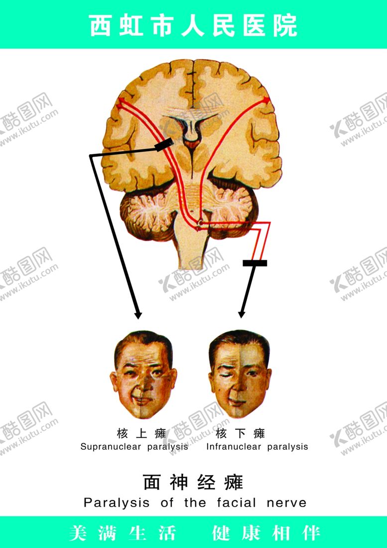 编号：84809206260649563801【酷图网】源文件下载-镂空花图案
