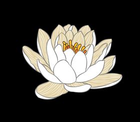 线条莲花