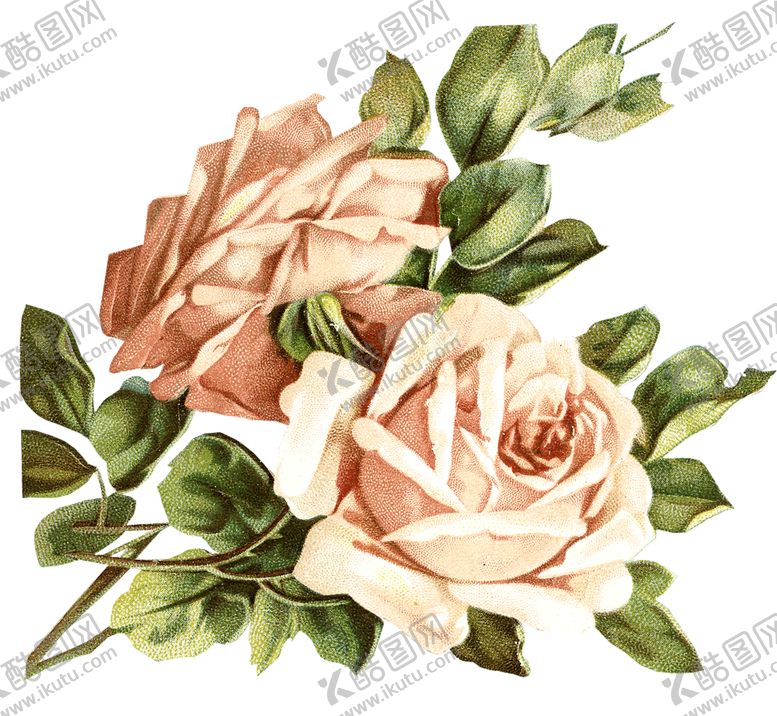 编号：78168409260303409846【酷图网】源文件下载-复古鲜花主题装饰图案