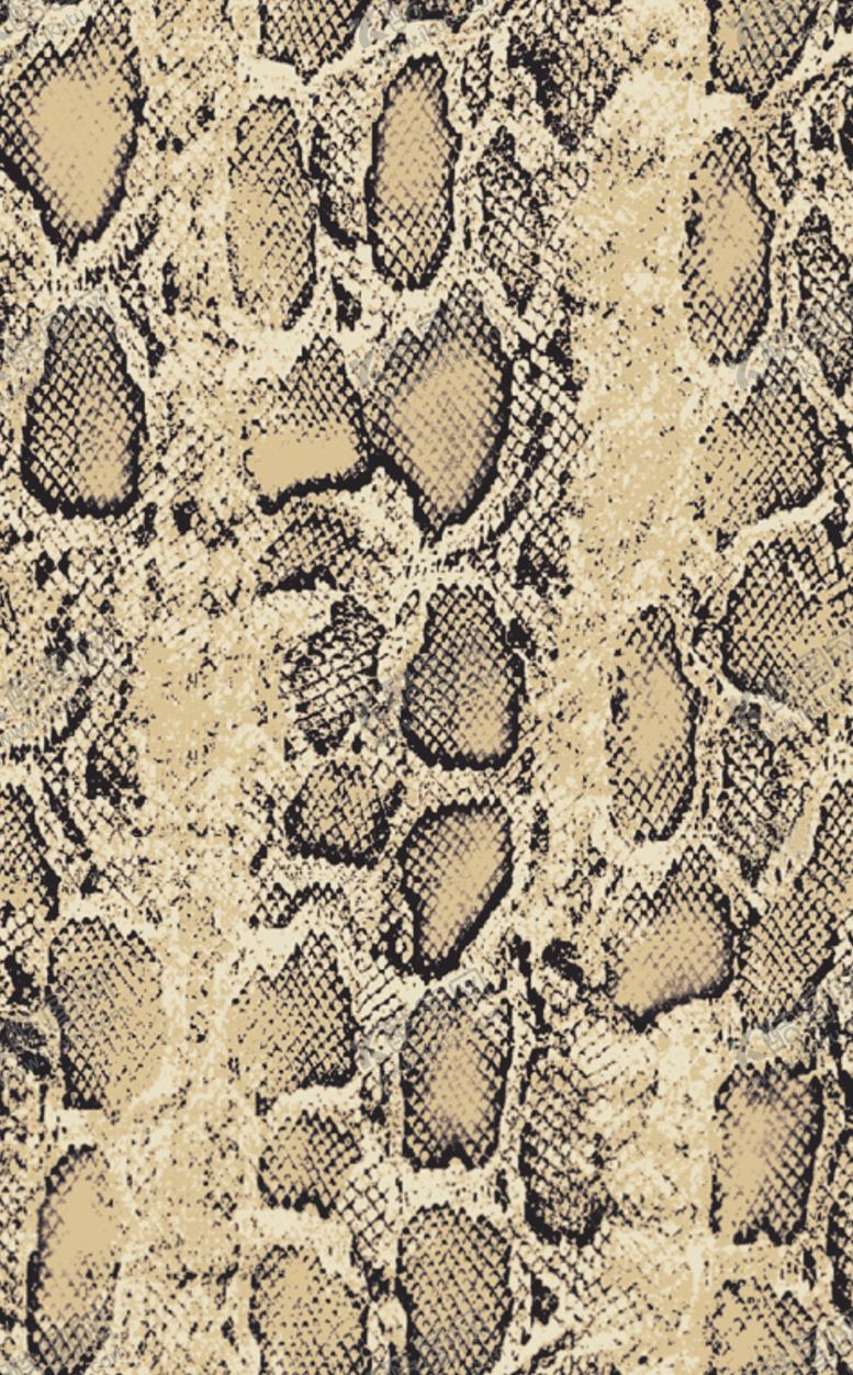 编号：29483509261126157781【酷图网】源文件下载-蛇皮