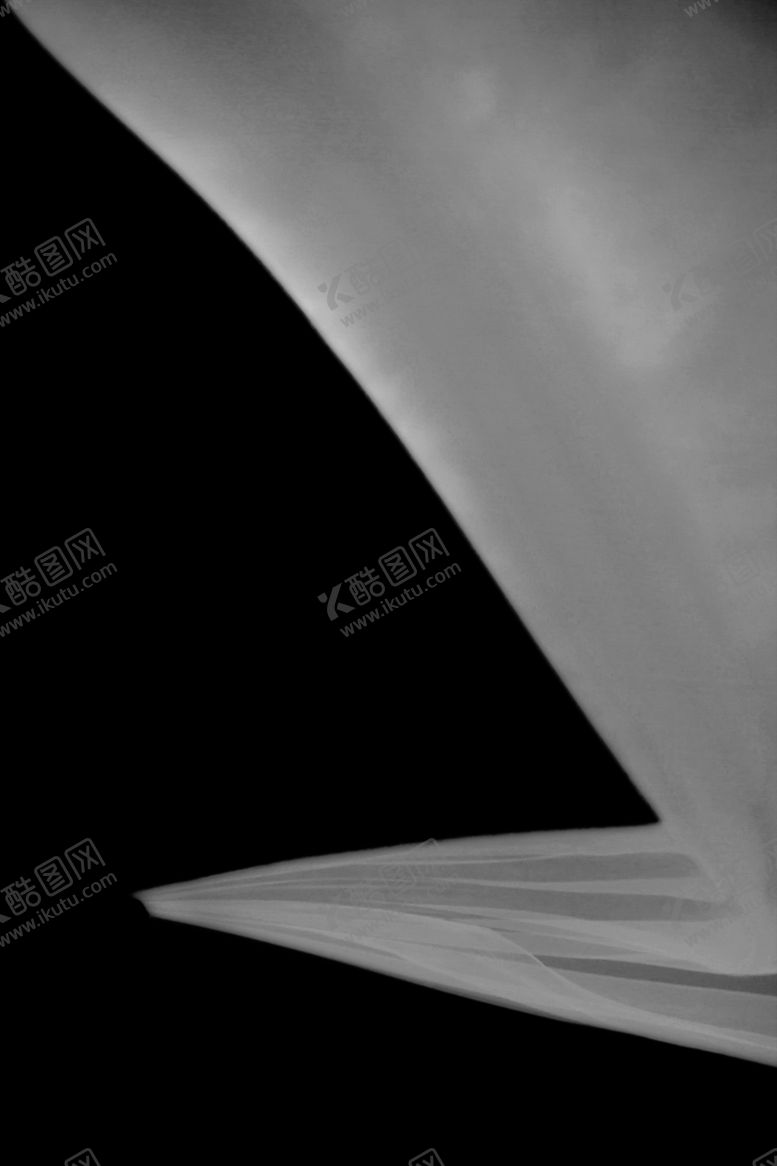 编号：42455107012346052231【酷图网】源文件下载-飘纱飘带