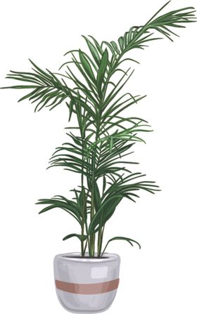 盆景盆栽