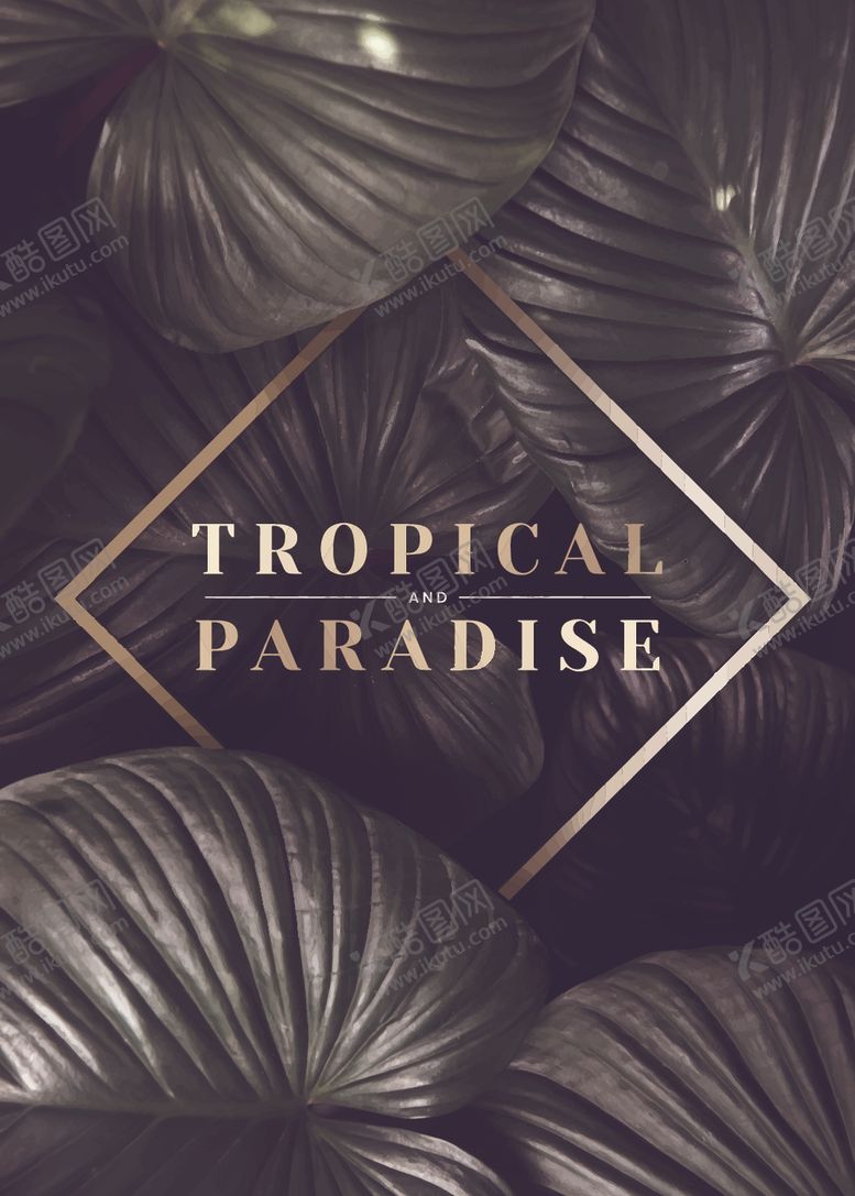 编号：21148509161051072439【酷图网】源文件下载-花卉背景