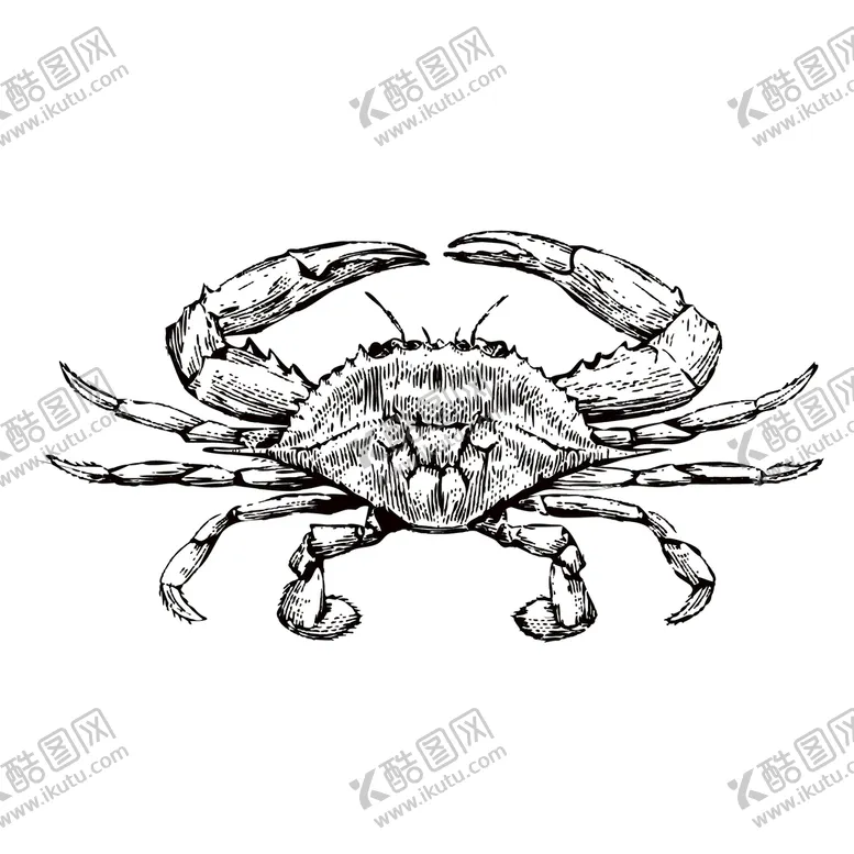编号：25711910180331554111【酷图网】源文件下载-蟹